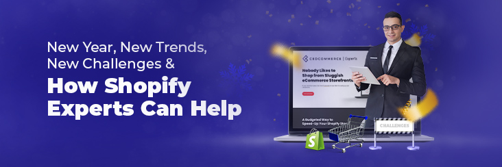 How-shopify-expert-can-help-blog-banner